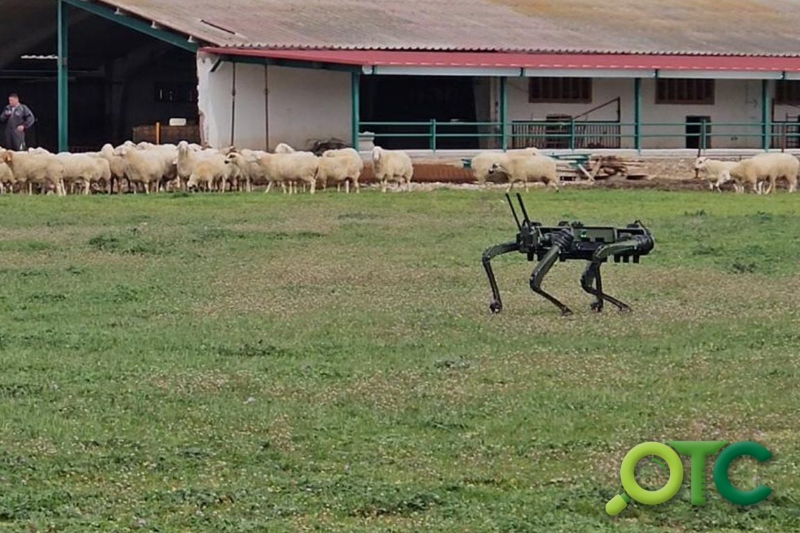 OTC UNILEON - Perro robot para el pastoreo OTC UNILEON - Perro robot para el pastoreo